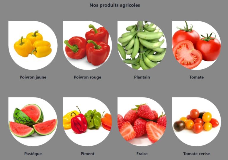 transelva produits-agricoles